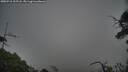 ./images/calvert/fitz-hugh-hecate/20250718/fitz-hugh-hecate20250718_205507M.jpg