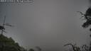 ./images/calvert/fitz-hugh-hecate/20250718/fitz-hugh-hecate20250718_210506M.jpg