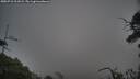 ./images/calvert/fitz-hugh-hecate/20250718/fitz-hugh-hecate20250718_211008M.jpg