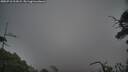 ./images/calvert/fitz-hugh-hecate/20250718/fitz-hugh-hecate20250718_212008M.jpg