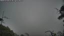 ./images/calvert/fitz-hugh-hecate/20250718/fitz-hugh-hecate20250718_212508M.jpg