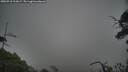 ./images/calvert/fitz-hugh-hecate/20250718/fitz-hugh-hecate20250718_213006M.jpg