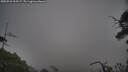 ./images/calvert/fitz-hugh-hecate/20250718/fitz-hugh-hecate20250718_213507M.jpg
