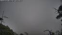 ./images/calvert/fitz-hugh-hecate/20250718/fitz-hugh-hecate20250718_214008M.jpg