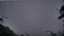 ./images/calvert/fitz-hugh-hecate/20250718/fitz-hugh-hecate20250718_215509M.jpg