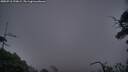 ./images/calvert/fitz-hugh-hecate/20250718/fitz-hugh-hecate20250718_220009M.jpg