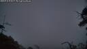 ./images/calvert/fitz-hugh-hecate/20250718/fitz-hugh-hecate20250718_221007M.jpg
