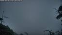 ./images/calvert/fitz-hugh-hecate/20250719/fitz-hugh-hecate20250719_051009M.jpg