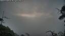 ./images/calvert/fitz-hugh-hecate/20250719/fitz-hugh-hecate20250719_055508M.jpg
