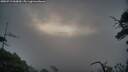 ./images/calvert/fitz-hugh-hecate/20250719/fitz-hugh-hecate20250719_060009M.jpg