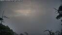 ./images/calvert/fitz-hugh-hecate/20250719/fitz-hugh-hecate20250719_061010M.jpg