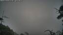 ./images/calvert/fitz-hugh-hecate/20250719/fitz-hugh-hecate20250719_061508M.jpg