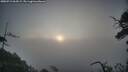 ./images/calvert/fitz-hugh-hecate/20250719/fitz-hugh-hecate20250719_064509M.jpg