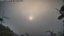 ./images/calvert/fitz-hugh-hecate/20250719/fitz-hugh-hecate20250719_065510M.jpg