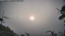 ./images/calvert/fitz-hugh-hecate/20250719/fitz-hugh-hecate20250719_070010M.jpg