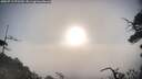 ./images/calvert/fitz-hugh-hecate/20250719/fitz-hugh-hecate20250719_072510M.jpg