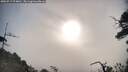 ./images/calvert/fitz-hugh-hecate/20250719/fitz-hugh-hecate20250719_074010M.jpg