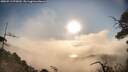 ./images/calvert/fitz-hugh-hecate/20250719/fitz-hugh-hecate20250719_075009M.jpg