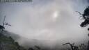 ./images/calvert/fitz-hugh-hecate/20250719/fitz-hugh-hecate20250719_082011M.jpg