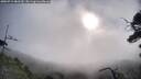 ./images/calvert/fitz-hugh-hecate/20250719/fitz-hugh-hecate20250719_082510M.jpg