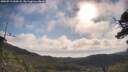 ./images/calvert/fitz-hugh-hecate/20250719/fitz-hugh-hecate20250719_090008M.jpg