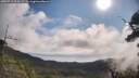 ./images/calvert/fitz-hugh-hecate/20250719/fitz-hugh-hecate20250719_094509M.jpg