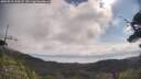 ./images/calvert/fitz-hugh-hecate/20250719/fitz-hugh-hecate20250719_100508M.jpg