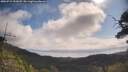 ./images/calvert/fitz-hugh-hecate/20250719/fitz-hugh-hecate20250719_101008M.jpg