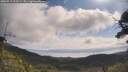 ./images/calvert/fitz-hugh-hecate/20250719/fitz-hugh-hecate20250719_102509M.jpg