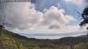 ./images/calvert/fitz-hugh-hecate/20250719/fitz-hugh-hecate20250719_103010M.jpg