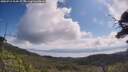 ./images/calvert/fitz-hugh-hecate/20250719/fitz-hugh-hecate20250719_104508M.jpg