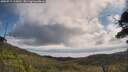 ./images/calvert/fitz-hugh-hecate/20250719/fitz-hugh-hecate20250719_110011M.jpg