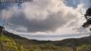 ./images/calvert/fitz-hugh-hecate/20250719/fitz-hugh-hecate20250719_110509M.jpg