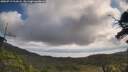 ./images/calvert/fitz-hugh-hecate/20250719/fitz-hugh-hecate20250719_111008M.jpg