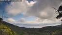 ./images/calvert/fitz-hugh-hecate/20250719/fitz-hugh-hecate20250719_113509M.jpg