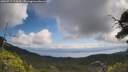 ./images/calvert/fitz-hugh-hecate/20250719/fitz-hugh-hecate20250719_114510M.jpg