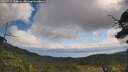 ./images/calvert/fitz-hugh-hecate/20250719/fitz-hugh-hecate20250719_115009M.jpg