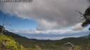 ./images/calvert/fitz-hugh-hecate/20250719/fitz-hugh-hecate20250719_131009M.jpg