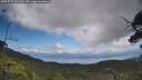 ./images/calvert/fitz-hugh-hecate/20250719/fitz-hugh-hecate20250719_131510M.jpg