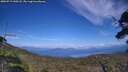 ./images/calvert/fitz-hugh-hecate/20250719/fitz-hugh-hecate20250719_160508M.jpg