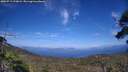 ./images/calvert/fitz-hugh-hecate/20250719/fitz-hugh-hecate20250719_170009M.jpg