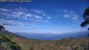 ./images/calvert/fitz-hugh-hecate/20250719/fitz-hugh-hecate20250719_172008M.jpg