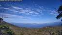 ./images/calvert/fitz-hugh-hecate/20250719/fitz-hugh-hecate20250719_172509M.jpg