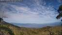 ./images/calvert/fitz-hugh-hecate/20250719/fitz-hugh-hecate20250719_181511M.jpg