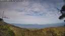 ./images/calvert/fitz-hugh-hecate/20250719/fitz-hugh-hecate20250719_183009M.jpg