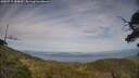 ./images/calvert/fitz-hugh-hecate/20250719/fitz-hugh-hecate20250719_184010M.jpg