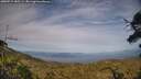 ./images/calvert/fitz-hugh-hecate/20250719/fitz-hugh-hecate20250719_185509M.jpg