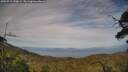 ./images/calvert/fitz-hugh-hecate/20250719/fitz-hugh-hecate20250719_190009M.jpg