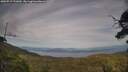 ./images/calvert/fitz-hugh-hecate/20250719/fitz-hugh-hecate20250719_191009M.jpg