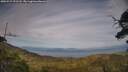 ./images/calvert/fitz-hugh-hecate/20250719/fitz-hugh-hecate20250719_191507M.jpg
